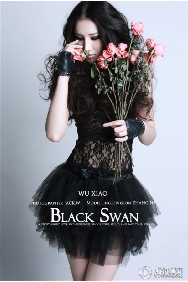 Blackest of Swans