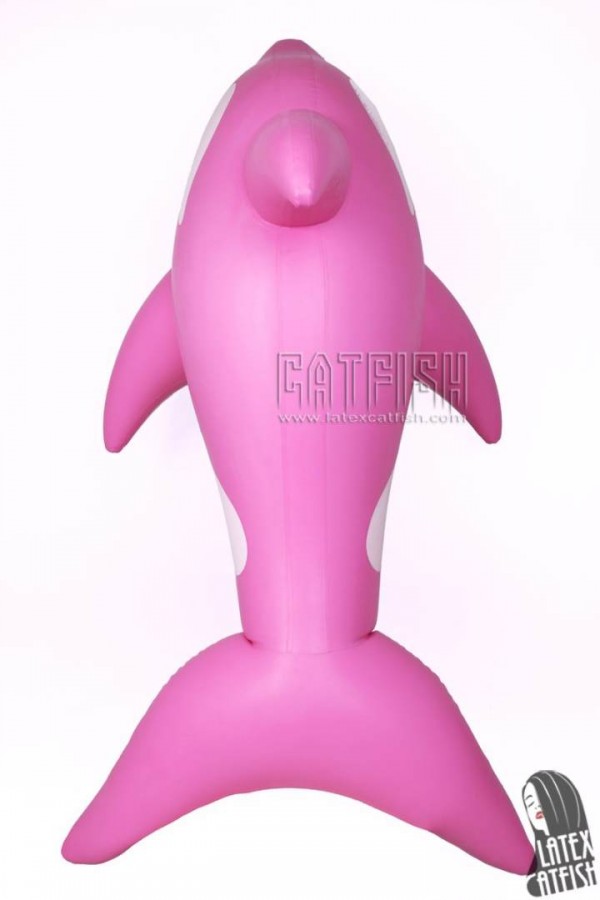 Dolphin Swimming Toy