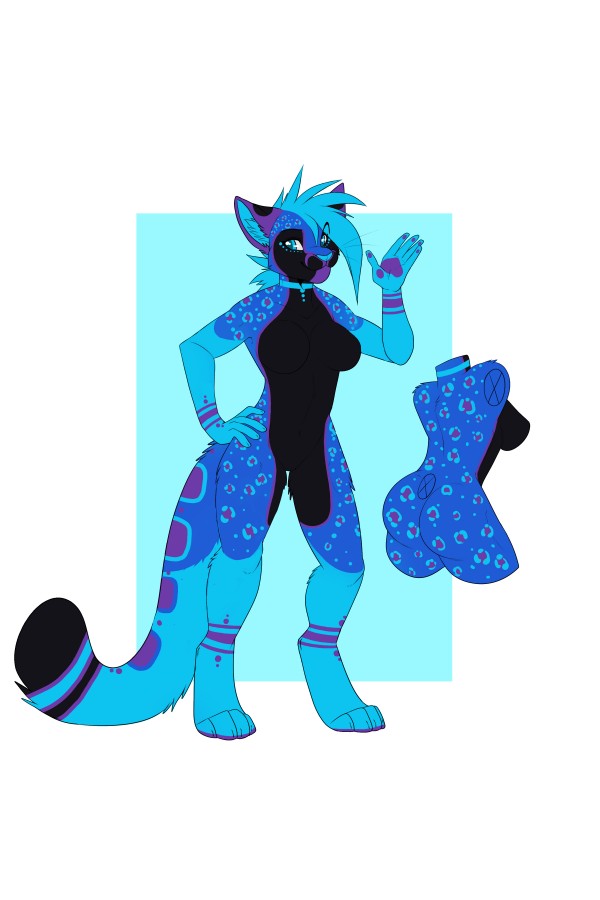 custom design custom design